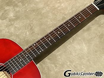 Amazon.co.jp: Greco グレコ ピックアップ搭載アコースティック